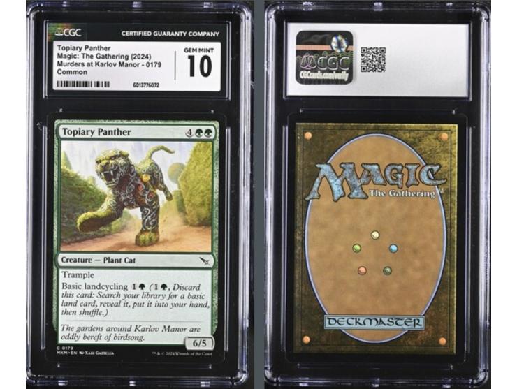 This curated set of four cards is a magnificent visual feast, celebrating the natural power and strategic depth of the 2024 s